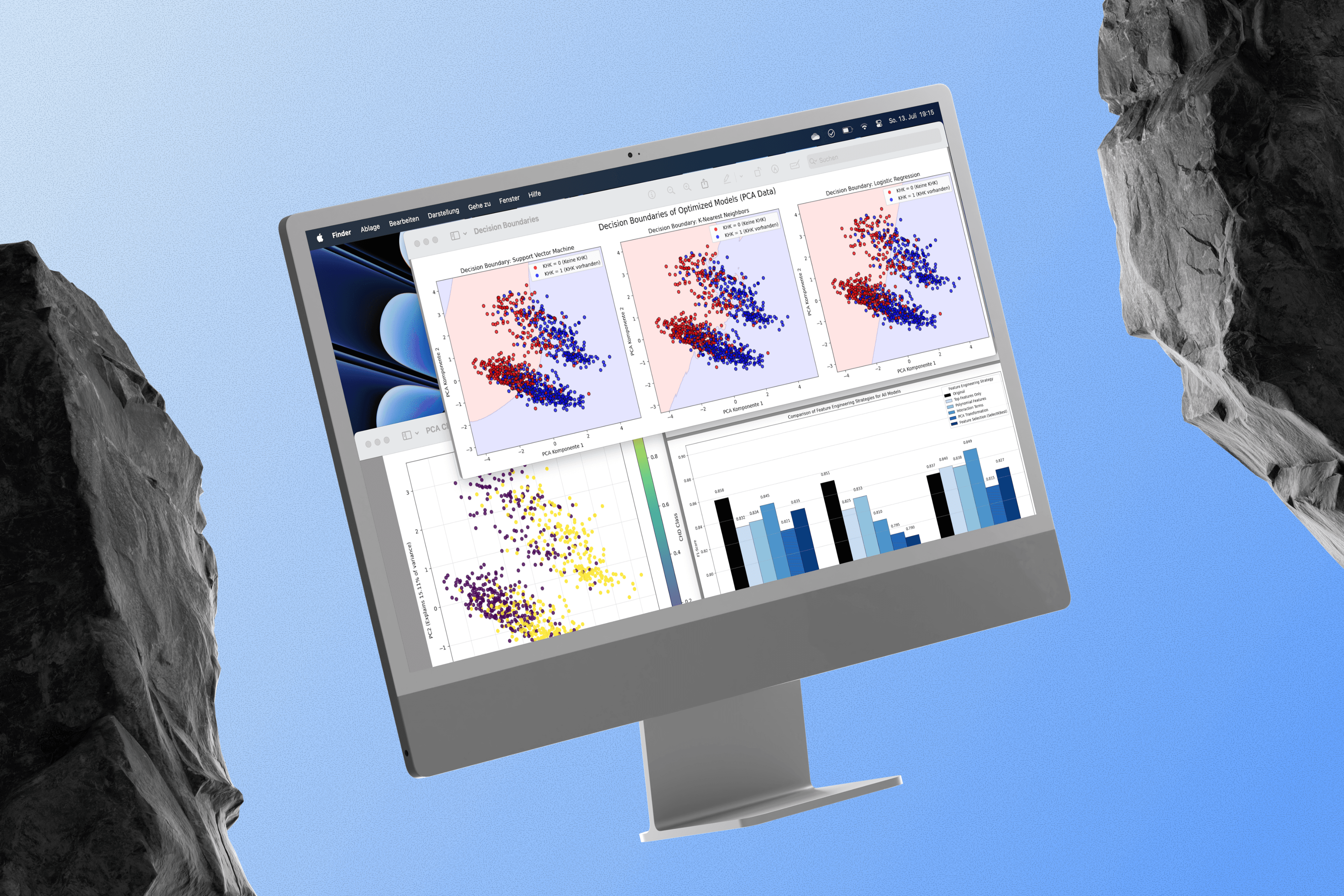 Image showing a software preview of the project "CHD Classifier Evaluation"